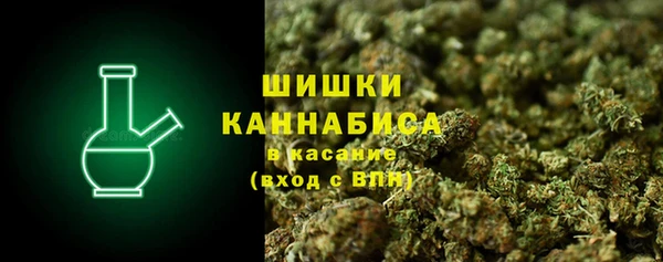 ГАЛЛЮЦИНОГЕННЫЕ ГРИБЫ Краснослободск