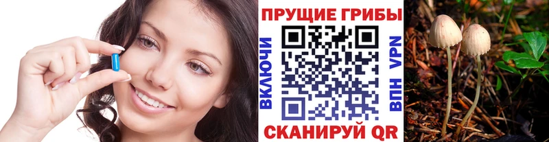 Галлюциногенные грибы мицелий  Купить  Кисловодск 