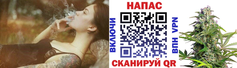Купить  Кисловодск  Бошки Шишки White Widow 